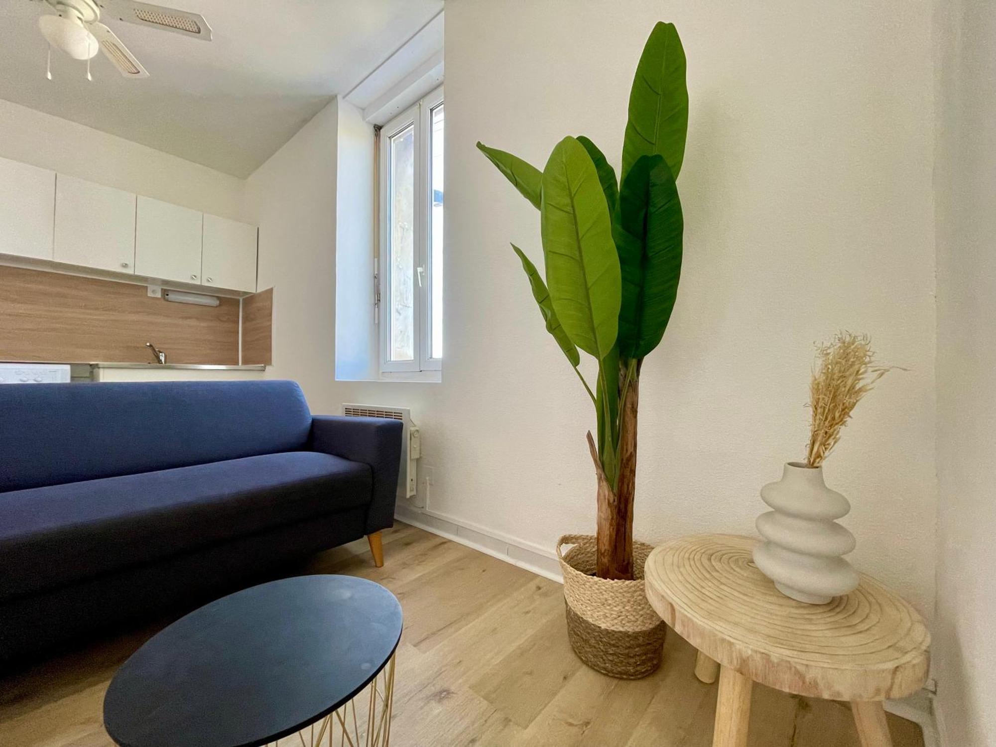 Les Appartements - Canal Du Midi カルカソンヌ エクステリア 写真